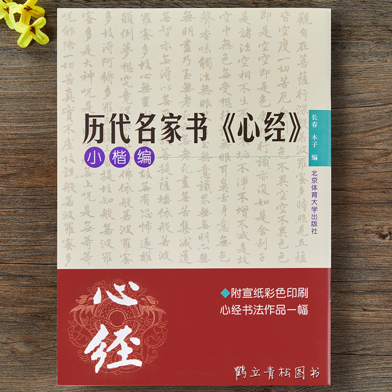 溥儒历代名家书心经小楷毛笔书法字帖北京体育大学楷书附宣纸心经 法