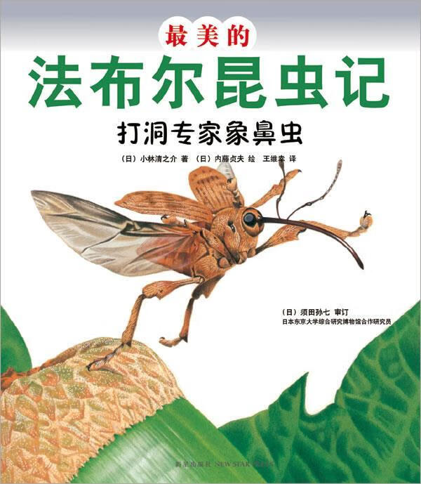 打洞专家象鼻虫【正版图书，放心购买】