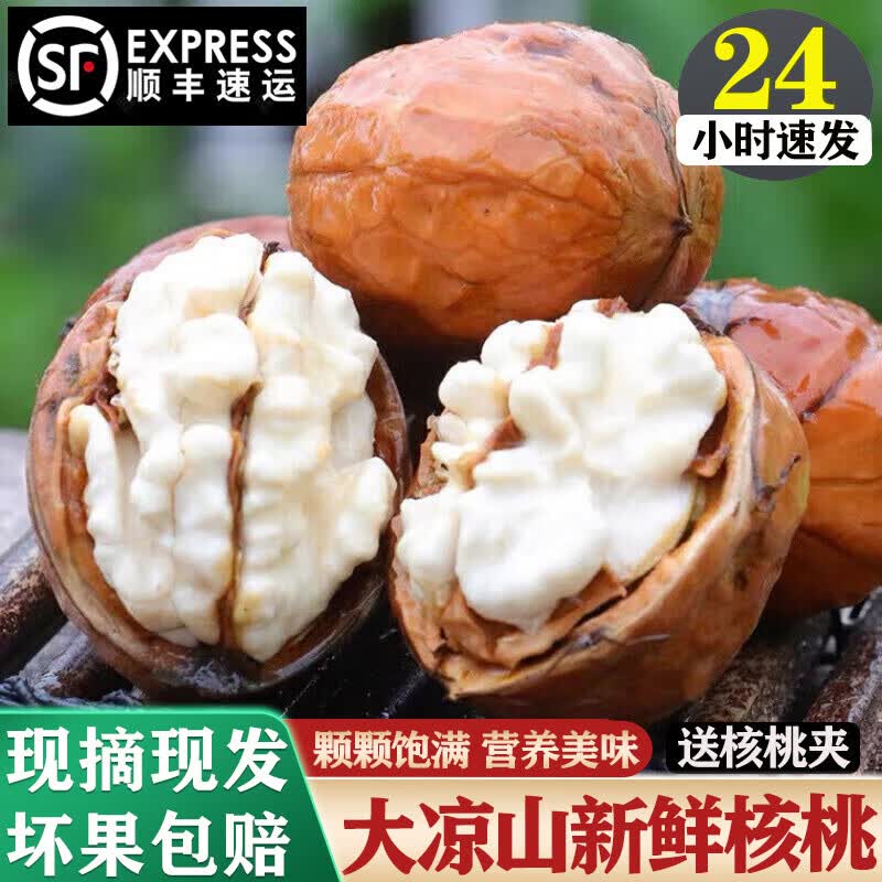 译蒙之味【顺丰】四川大凉山新鲜湿核桃去青皮核桃薄皮绿皮现摘生嫩山黑桃 净重2斤【核桃夹+网兜+彩箱】