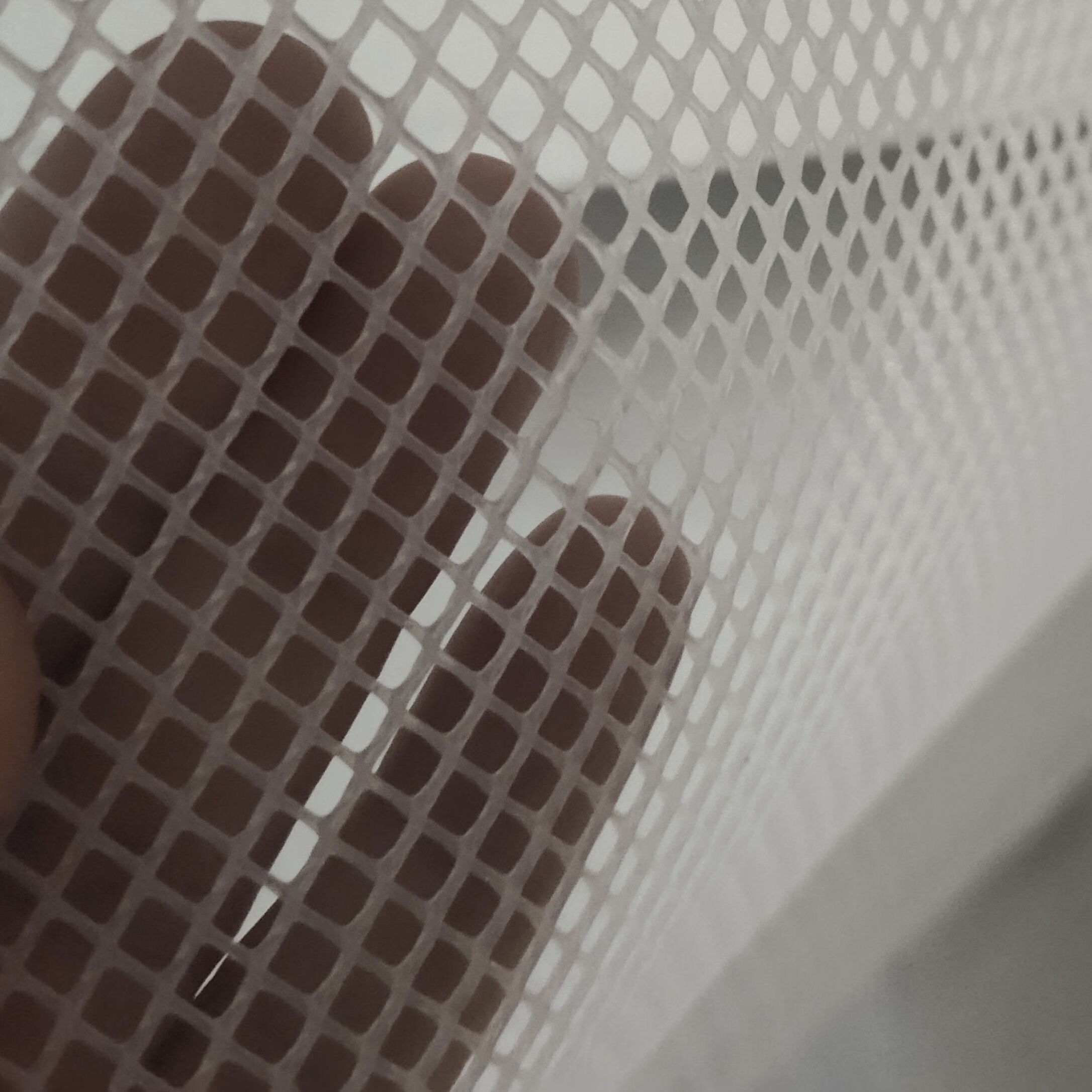 墨薰槿小孔塑料平网养殖网养蜂养蚕养鱼养蜂活动区 0.