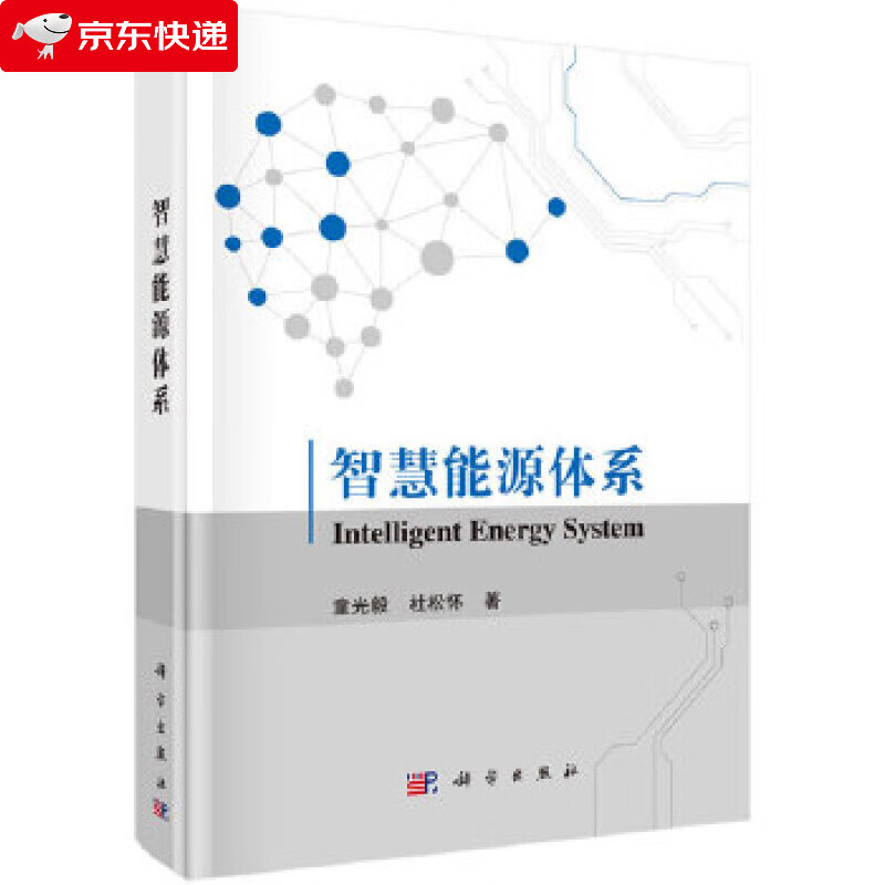 智慧能源体系 童光毅等 9787030642615