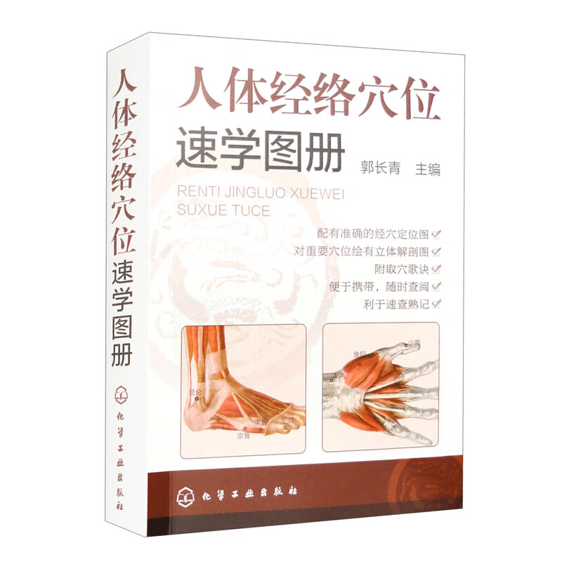 人体经络穴位速学图册