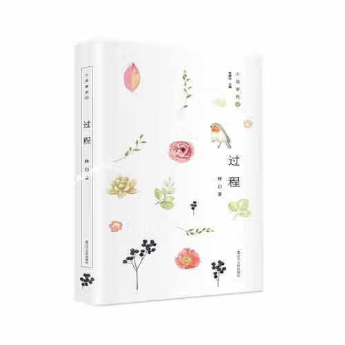 小说家的诗:过程  27年坚守,林白新诗