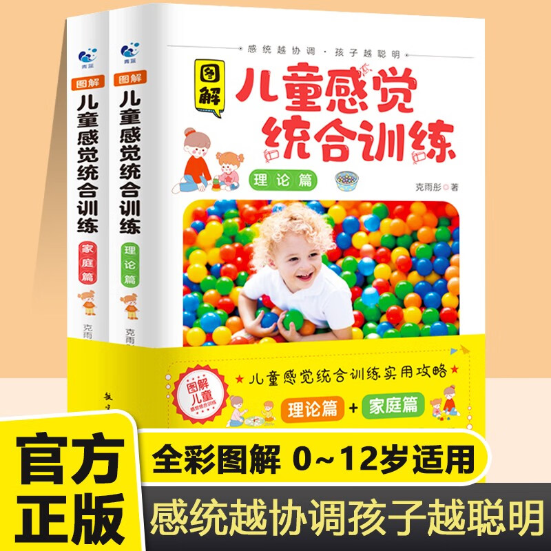 图解儿童感觉统合训练+图解家庭中的感觉统合训练书籍全2册 0-6-12岁好妈妈感统训练书 全彩图解版