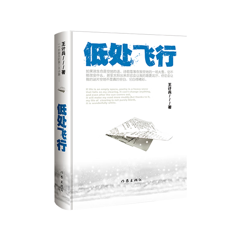 低处飞行（外卖诗人王计兵，现象级素人作家，“叛变”的外卖员用诗歌找补生活 普通人且匍匐且飞翔的日常）