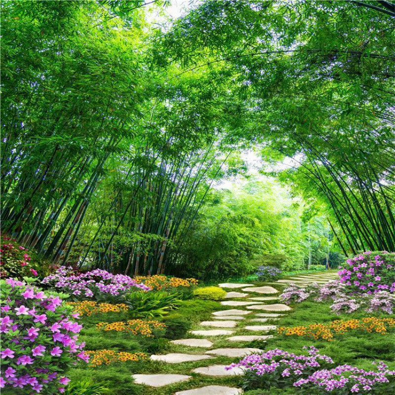 境珧新风景背景墙草原主播背景布3d直播间四季风景直播背景布 1 (宽1