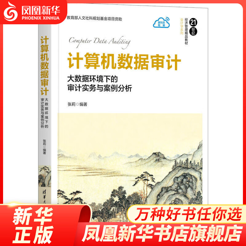 计算机数据审计 大数据环境下的审计实务与案例分析 凤凰新华书店旗舰店