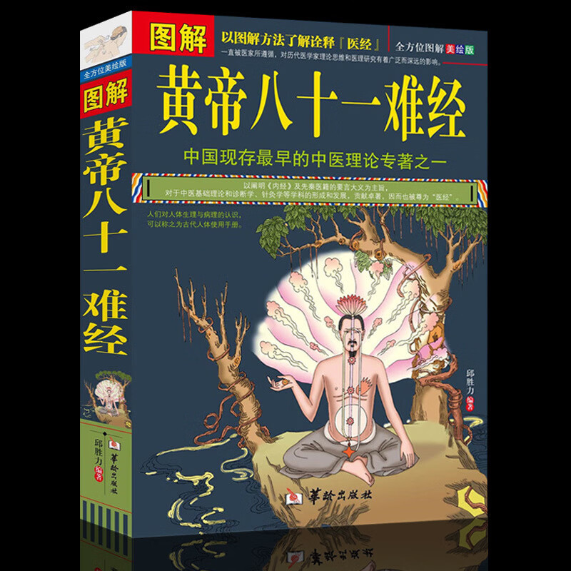 脉学经络脏腑腧穴针法岐黄之术 中医基础理论诊断学针灸学拔罐歧黄之