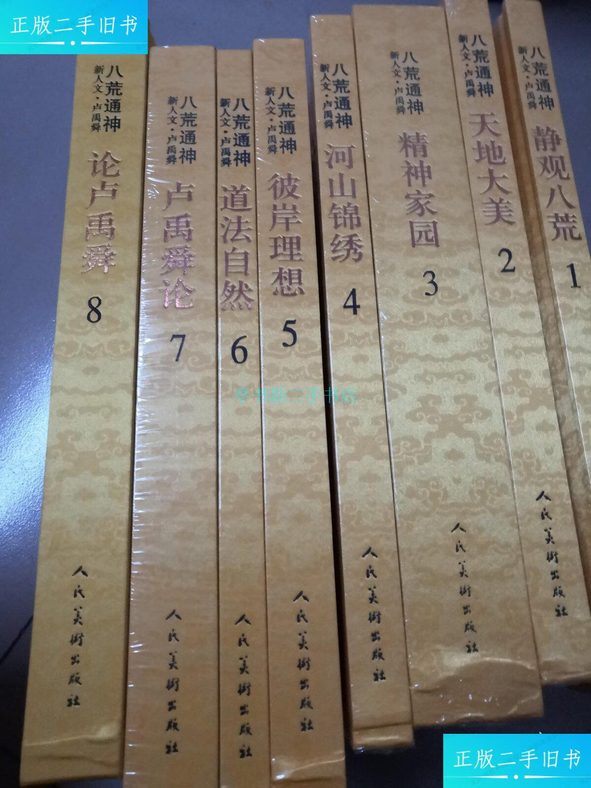 【二手9成新】八荒通神:新人文卢禹舜(静观八方,天地大美,精神家园,河