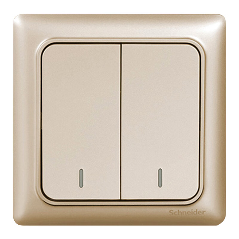 施耐德电气 双开双控开关 86型二开开关插座面板暗装墙壁插座 睿意