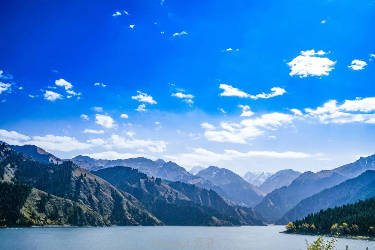 天池学生门票 车票 天山天池 景点门票