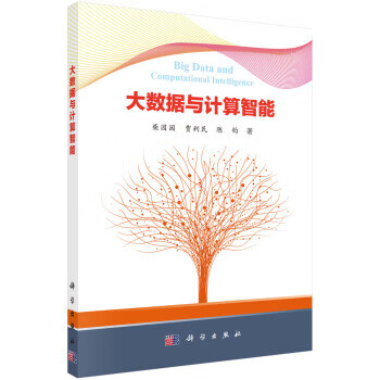 大数据与计算智能【正版图书】