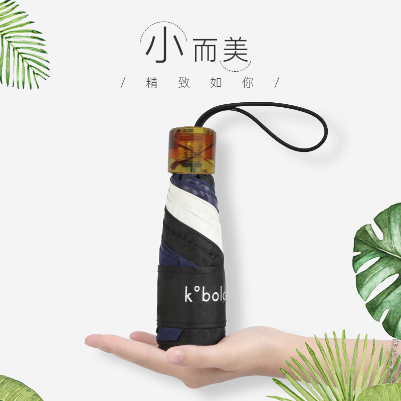 雨伞雨具商品的历史价格查询|雨伞雨具价格历史