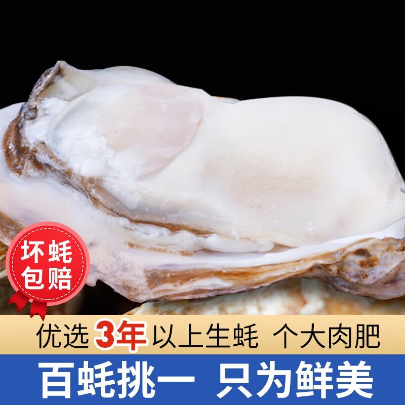 查在线贝类商品历史价格|贝类价格比较