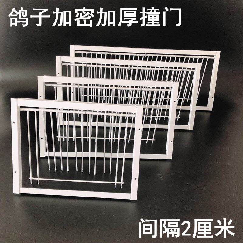 信鸽赛鸽撞门用品鸽具加厚活络门活动门鸽子跳笼门自动加密撞门 30