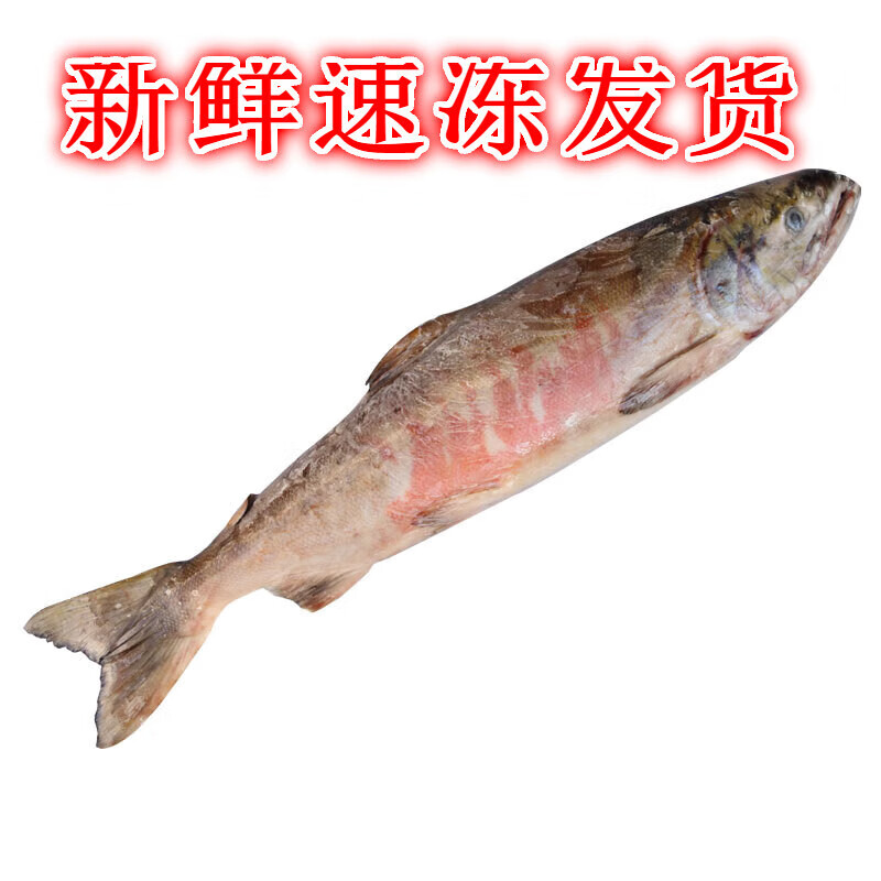 lism 大马哈鱼2022年新鱼冷冻新鲜整条冰冻冰鲜马哈黑龙江佳木斯 原味