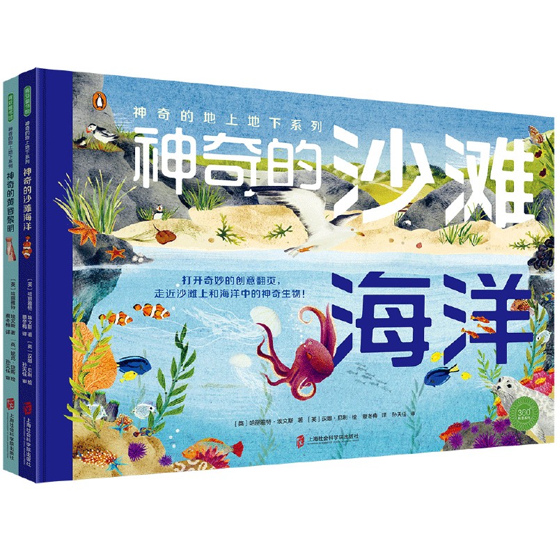 神奇的地上地下系列（神奇的沙滩海洋+神奇的黄昏黎明）创意翻页，自然科普自然观察美景图画科普启蒙详情图