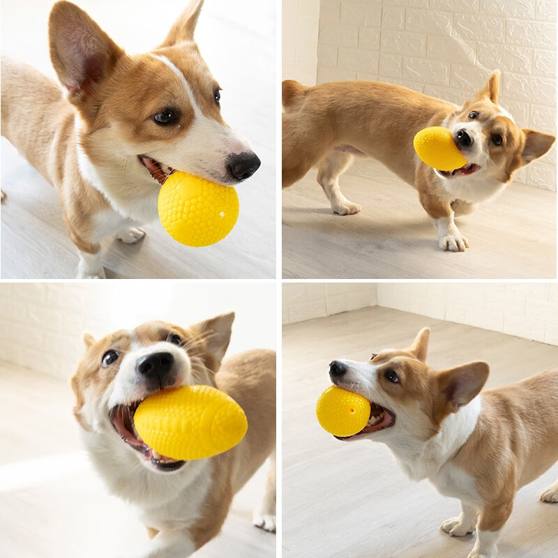 宜特（EETOYS）狗玩具耐咬橡胶球小中型训犬趣味训练球磨牙玩具可水洗 【气流声不扰民】吹塑小号橄榄球