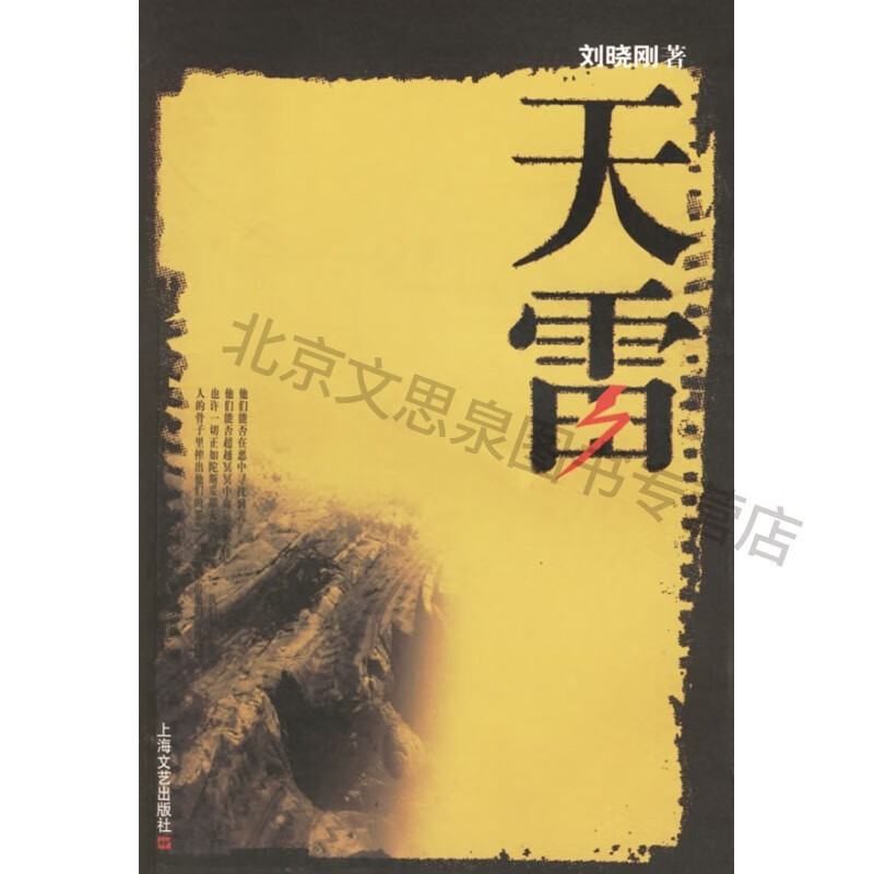 天雷 【稀缺图书,放心购买】
