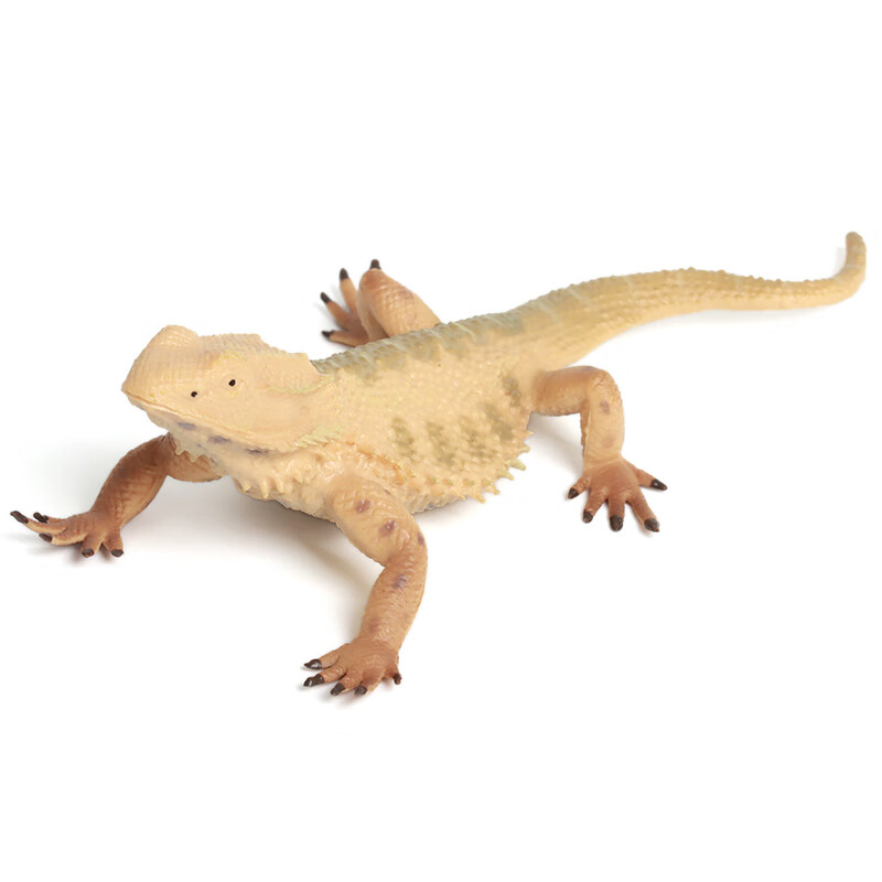 玛奇乐(mechile)仿真蛇模型玩具两栖爬行动物儿童认知启蒙动物教具