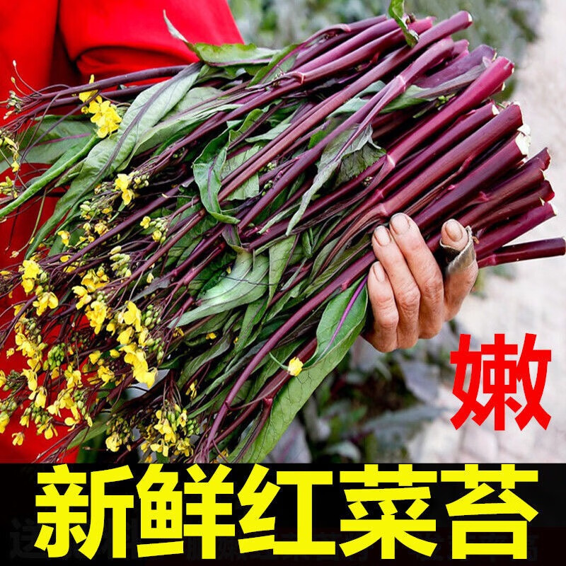 顺丰发货 现摘现发农家自种湖北武汉洪山特产苔菜新鲜蔬菜湖北新鲜红菜苔红菜薹红菜苔5斤装 保温箱发货 顺丰快递 参数详情评论 聚折扣 顺丰发货 现摘现发农家自种湖北武汉洪山特产苔菜新鲜蔬菜湖北新鲜红菜苔红菜薹红菜苔5斤装 保温箱发货 顺丰快递 参数详情评论 聚折扣