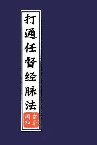 打通任督二脉十二经脉气功入门真气大小周天功速成法智能中医修炼 现货