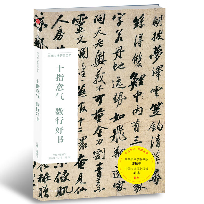 十指意气数行好书 当代书法研究丛书 中信出版社