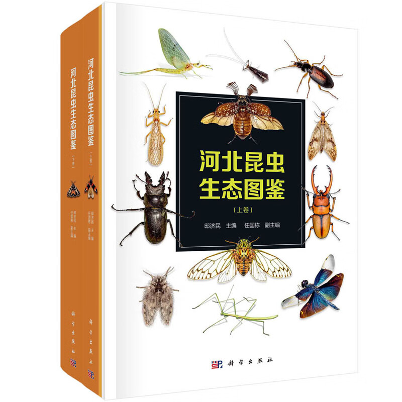 河北昆虫生态图鉴.上下卷 邸济民编 科普性昆虫知识 分类编排 原尾纲 弹尾纲 双尾纲 昆虫纲 科学