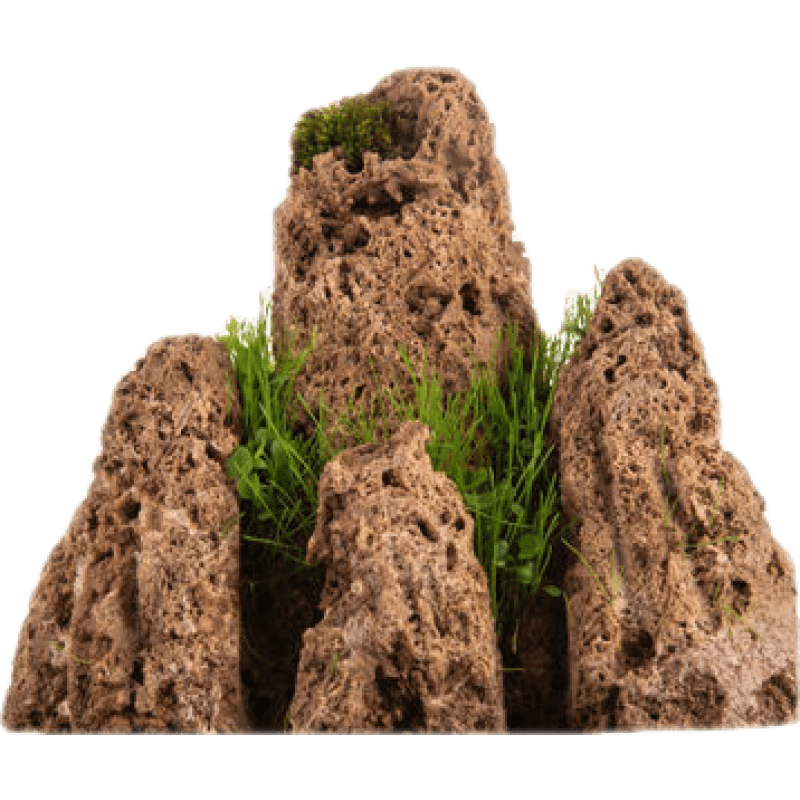 天然上水石吸水石小型假山石盆景石頭魚(yú)缸微景觀(guān)原石造景裝飾擺件 10-14cm吸水石含19cm裂釉盆