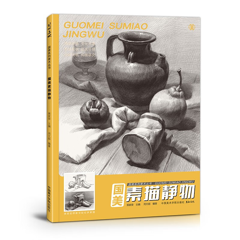 国美素描静物临摹书画册入门教材基础范本单体组合水果衬布写生照片书罐子结构绘画画初学者美术培训班周文超儿童成人自学练习 国美素描静物