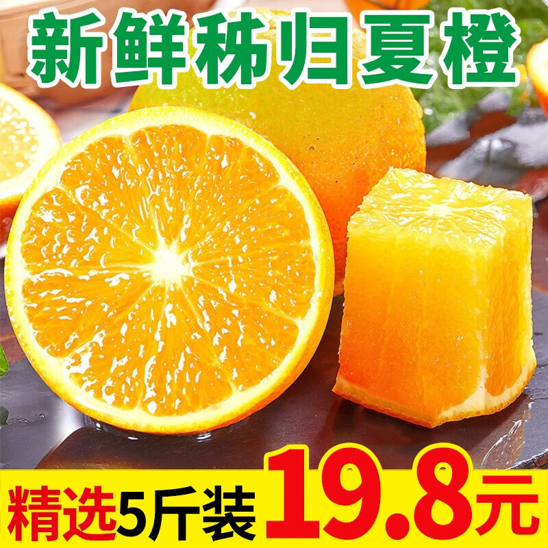 京东精选卖场 2022-05-10 - 第11张 | 最新购物优惠券 京东精选卖场 2022-05-10 - 第11张 | 最新购物优惠券