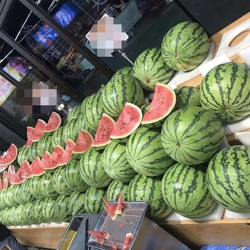 中科茂华8424麒麟瓜 蔬菜种子 金美都西瓜种子改良美都抗裂西瓜 金