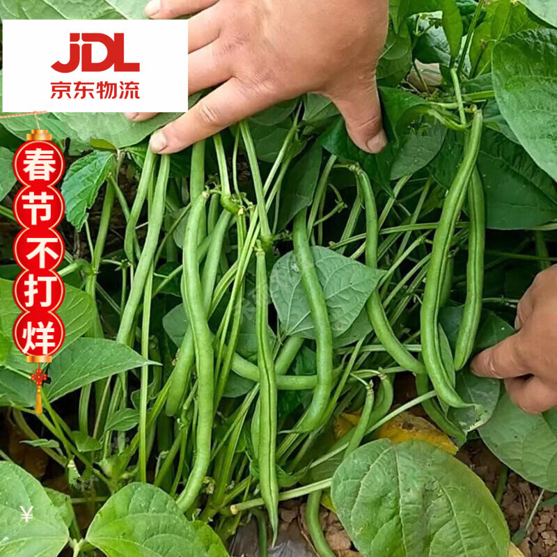 手机怎么看蔬菜类价格曲线|蔬菜类价格历史