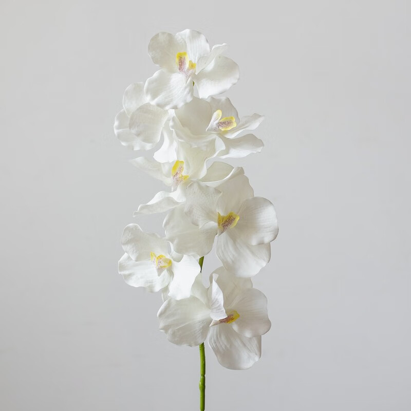 掬涵 仿真花兰花万代兰蝴蝶兰绢花假花插花会所家居客厅装饰花艺 白色