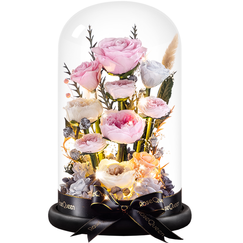 �������������rose����õ�廨��520���˽�������Ů��Ů������������ ����һ��һ�������ƣ��÷�