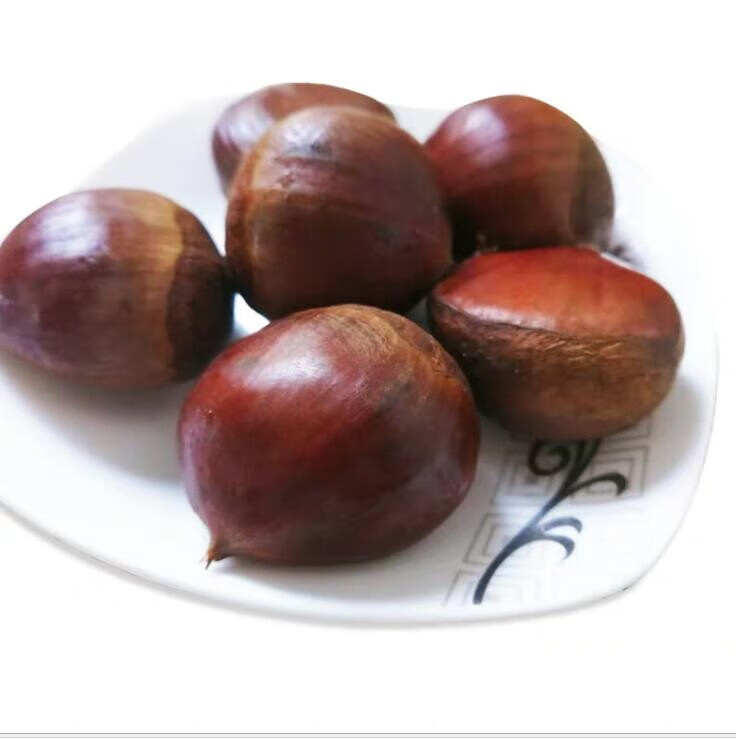 皓谦贵州板栗新鲜野生板栗生毛栗子生尖毛栗锥栗圆栗油栗 5斤