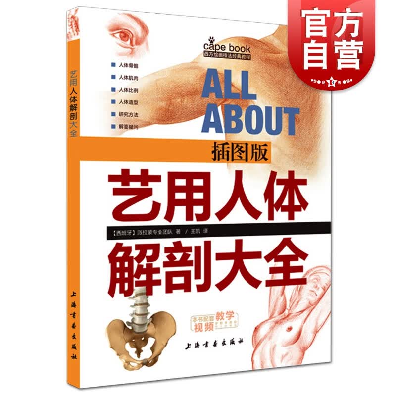 艺用人体解剖大全插图版  [西班牙] 派拉蒙专业团队 著 上海书画出版社