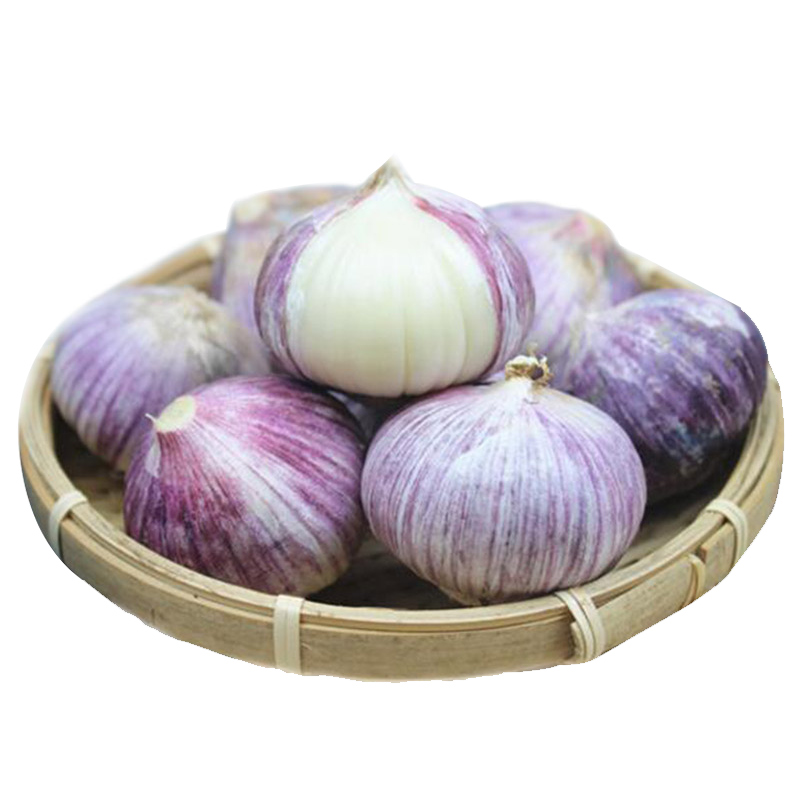 味小仙紫皮大蒜頭干蒜 獨(dú)頭蒜蔬菜 小果（果徑2.2cm-2.6cm） 2斤