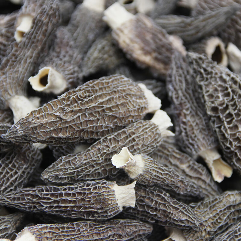 宏园全剪柄羊肚菌云南特产羊肚菇 山珍干货食用菌 50g