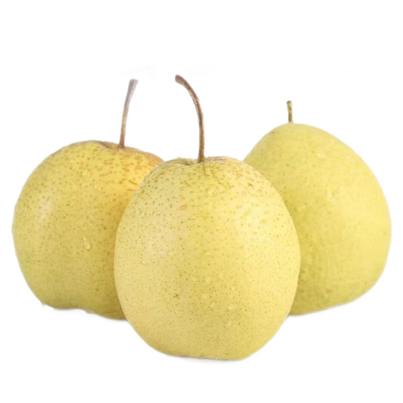 CAIFAN ѩ ӱѩˮӱѩ ѩ 5װ 67Ԫ