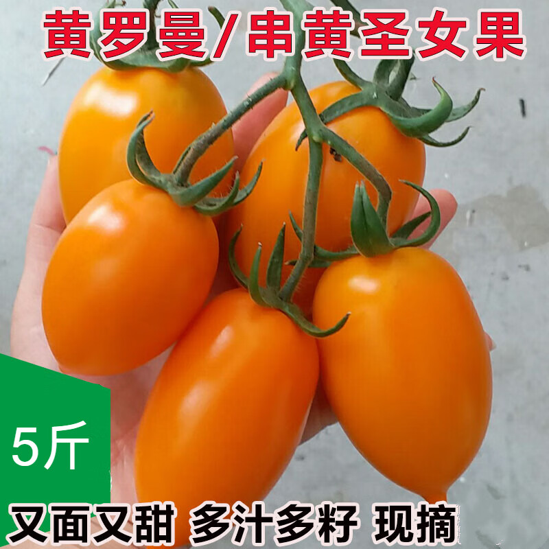 黄罗曼一串黄番茄柿子黄色大圣女果西红柿新鲜蔬菜水果现货 5斤