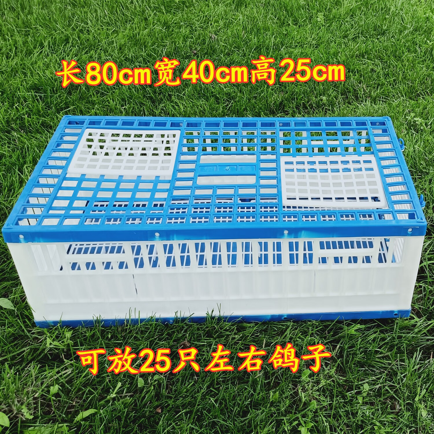 hkml鸽子用品用具 放飞笼 折叠塑料鸽笼 木质帆布笼训放笼 赛鸽报道笼