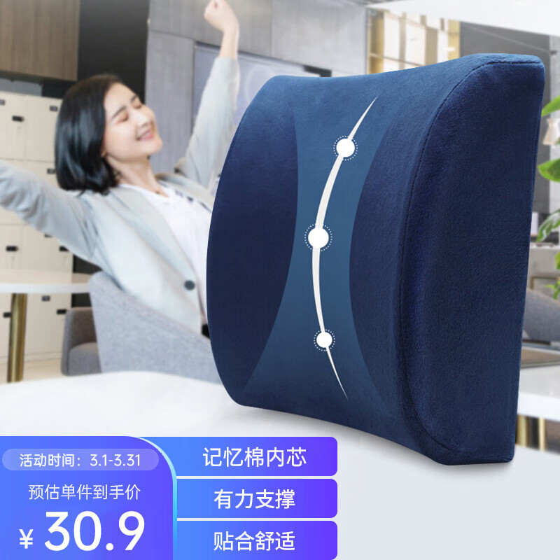 派奇士靠垫办公室腰靠腰垫汽车椅子靠背座椅靠枕呵护腰枕腰椎垫 蓝色怎么看?