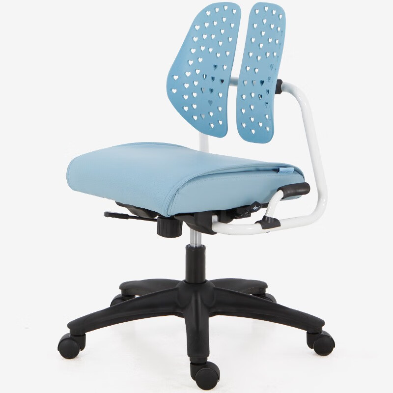 博泰 学习椅学生电脑椅坐垫可调节升降椅人体工学写字椅BT-6256蓝色