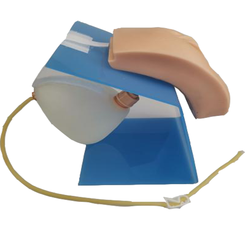 高级着装式女性导尿模型佳悦科教通h28f