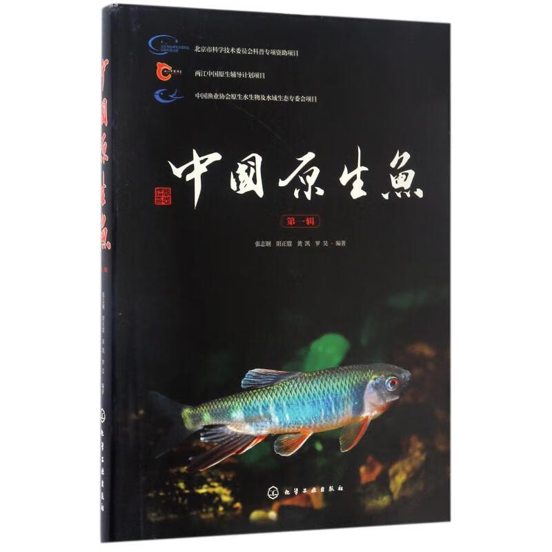 中国原生鱼(第1辑) 张志钢、阳正盟、黄凯、罗昊 编 书籍