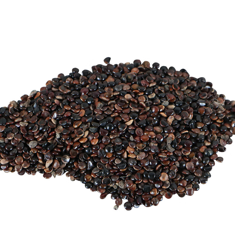 北京同仁堂筛选枳椇子500克拐枣籽可组合葛根枳椇子茶中药材泡酒泡水