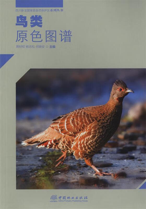 【新华书店 送货上门】鸟类原色图谱四川卧龙自然保护区系列丛书