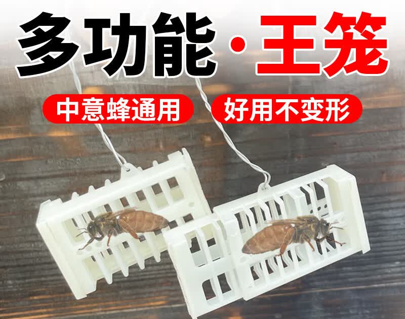 裕展多功能囚王笼  蜜蜂塑料储王器专用峰王邮寄中意蜂养蜂工具蜂大哥 10个装高性价比高么？