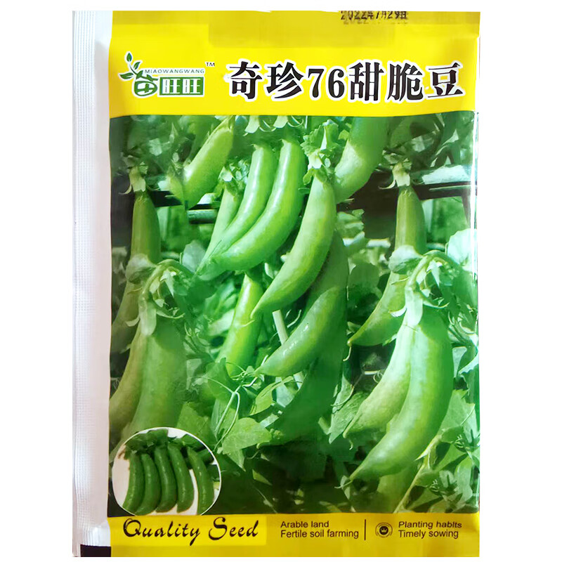 醉春木鲜食甜脆豆种子芽苗菜豆种籽 豌豆种子春夏秋四季播庭院农家菜